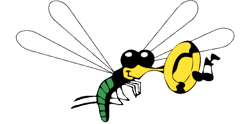 Guggemuusig Claraschnoogge 1979